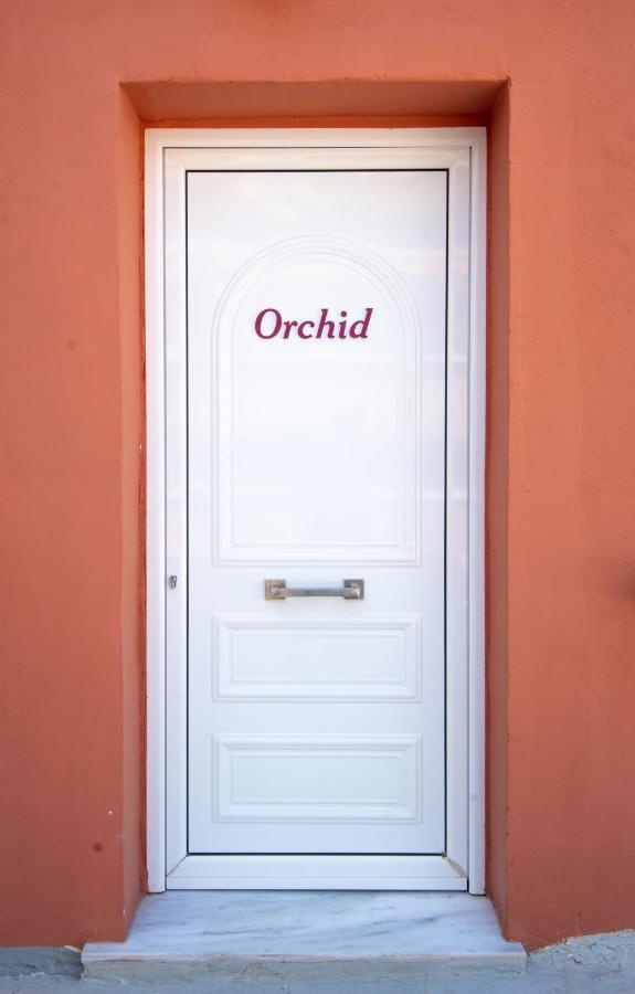 Orchid Athens Over Rooftop Studio Apartamento Exterior foto